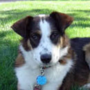 Ariel was adopted in August, 2005